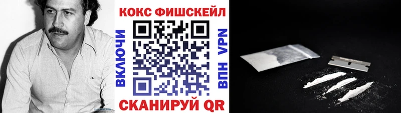 КОКАИН Fish Scale  Купить закладки  Стерлитамак 