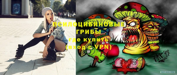 Альфа ПВП Елабуга