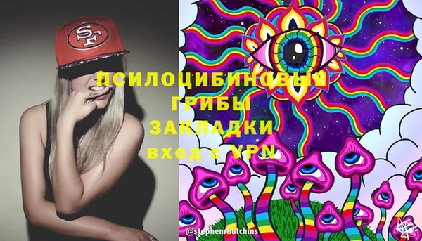 дурь Елизово