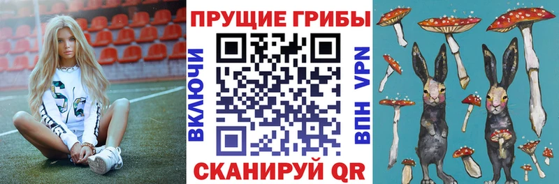 Псилоцибиновые грибы GOLDEN TEACHER  Купить закладки  Стерлитамак 