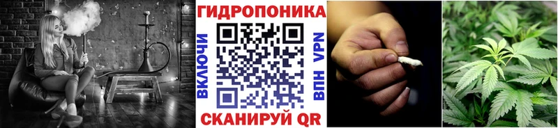 Купить где  Стерлитамак  Шишки марихуана Amnesia 